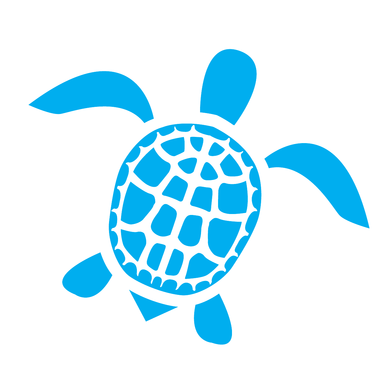 Sea Turtle